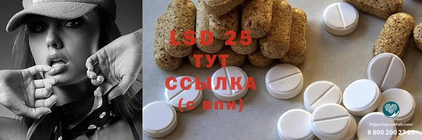 ПСИЛОЦИБИНОВЫЕ ГРИБЫ Алексин