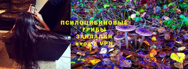 ГАЛЛЮЦИНОГЕННЫЕ ГРИБЫ Краснотурьинск
