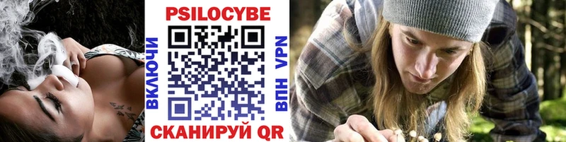кракен tor  Игарка  Псилоцибиновые грибы Psilocybine cubensis 